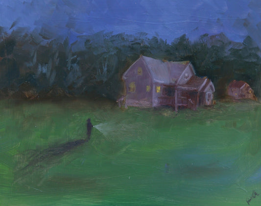 The Lake House - art of raman
